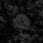 Description & Pattern